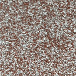 ICN-21